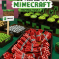Fête d'anniversaire sur le thème de Minecraft avec décorations colorées.