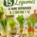 Photo d'une récolte de légumes frais issus de boutures dans un jardin urbain.