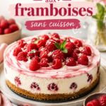Gâteau frais aux framboises sans cuisson sur un plat élégant.